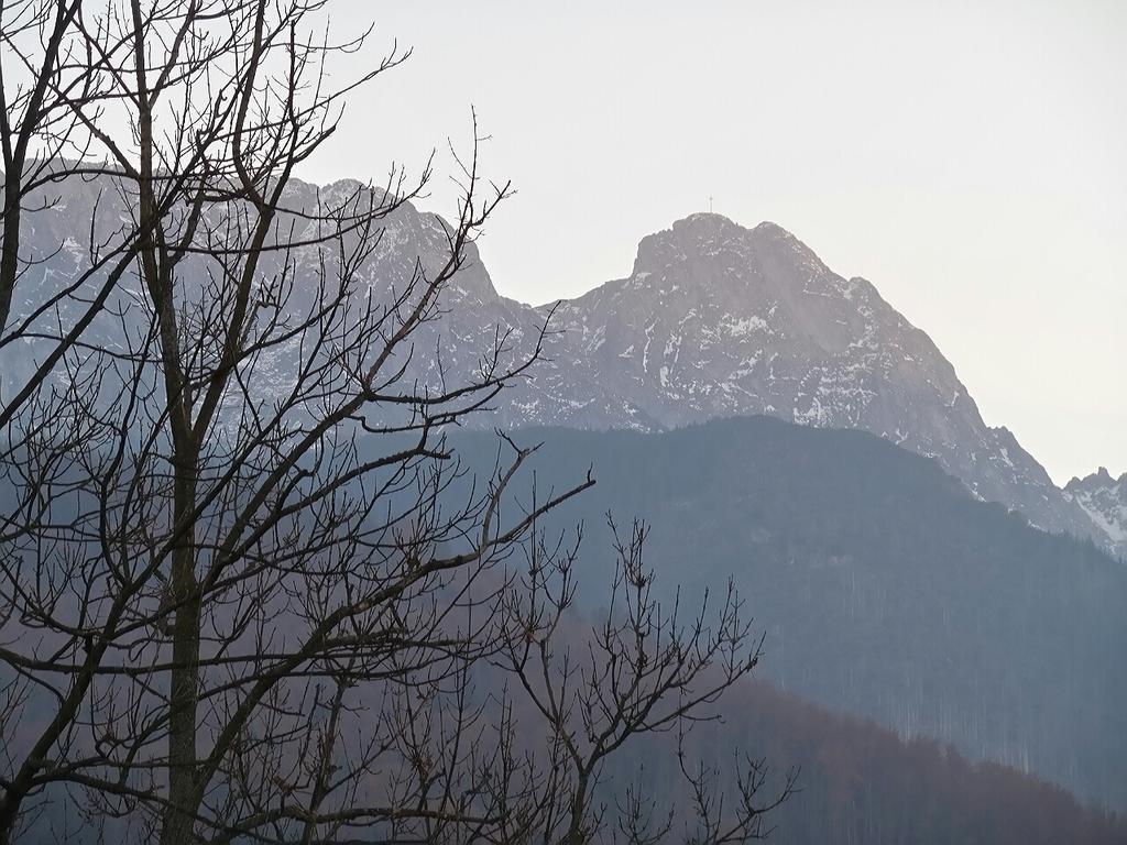 Willa Pod Halami Zakopane Exterior photo