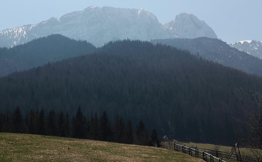 Willa Pod Halami Zakopane Exterior photo